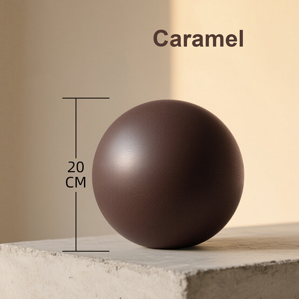 20cm Matte Exercise Ball Barre - đánh giá và giá Pilates Yoga Matte