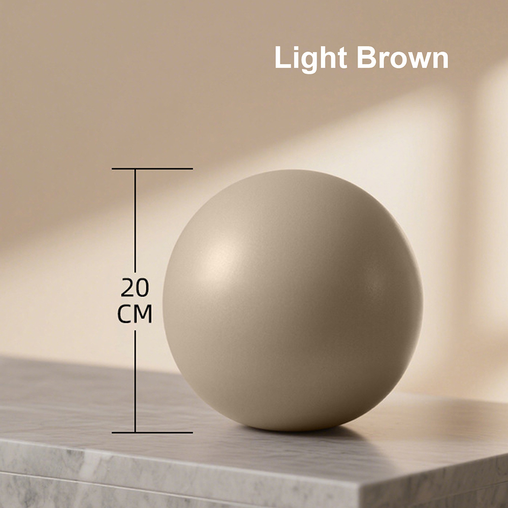20cm Matte Exercise Ball Barre - đánh giá và giá Pilates Yoga Matte