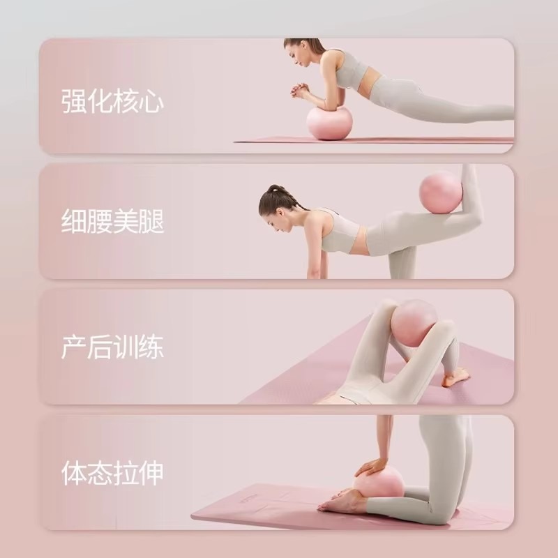 Women Gym Yoga Fitness Ball Th - đánh giá và giá Pilates Toning Ball